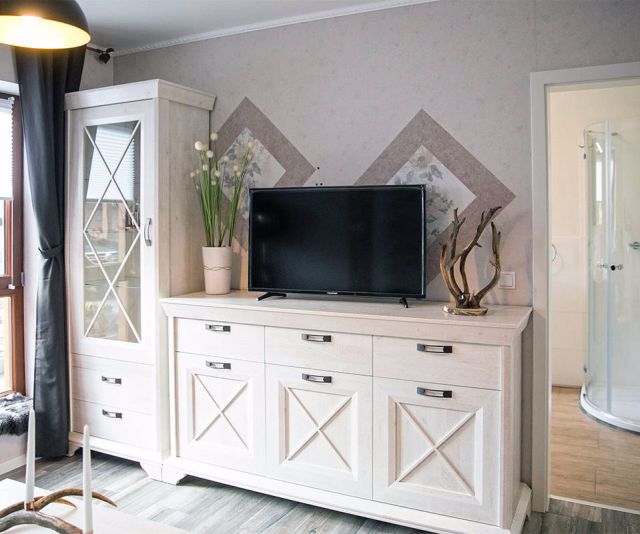 Erlebnishof Dreyer - Ferienwohnungen Wohnzimmer mit TV