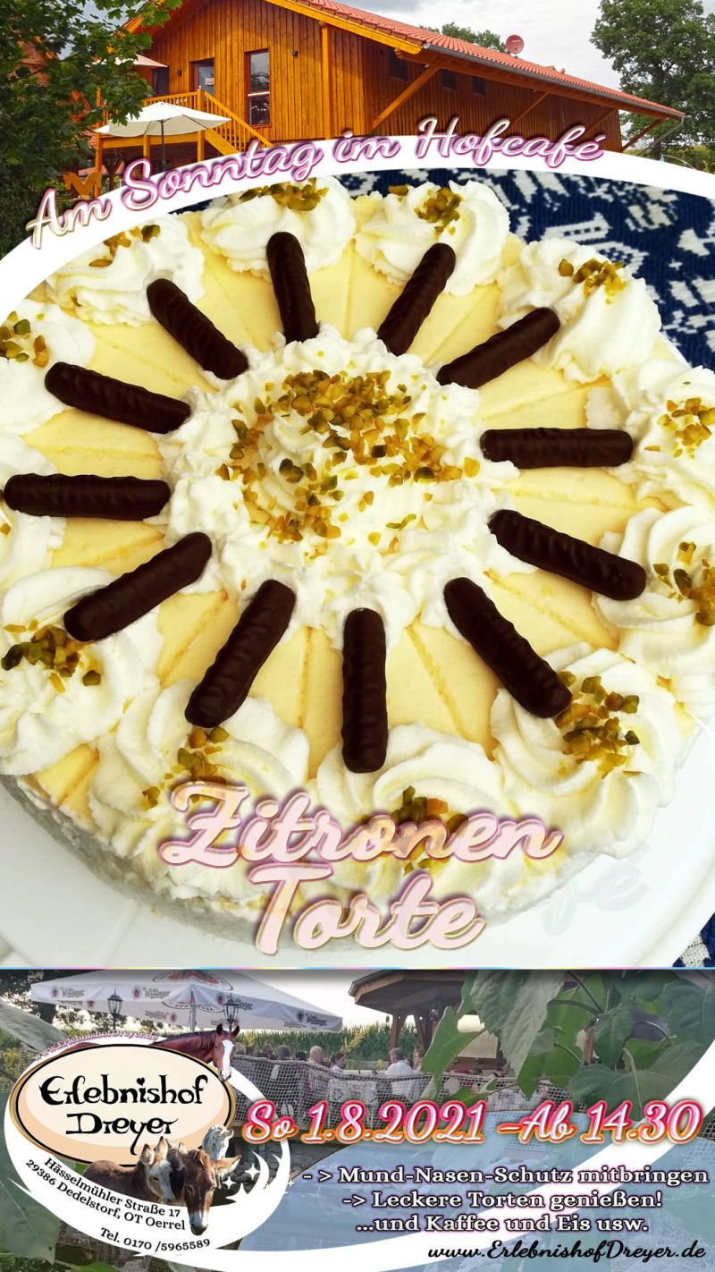Erlebnishof Dreyer - Hofcafé Zitronentorte