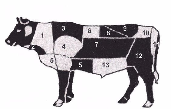 Kuh Aufteilung