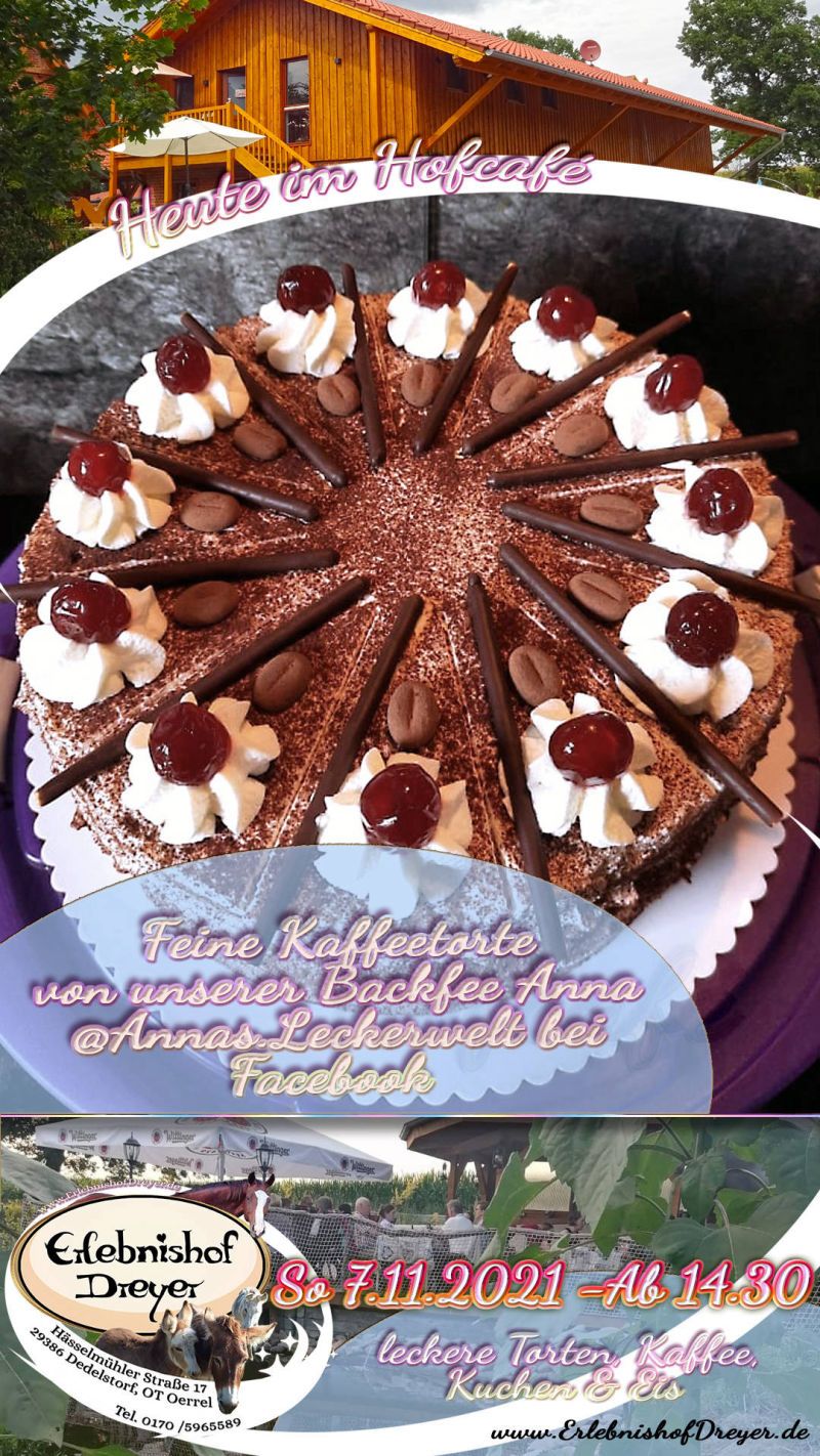 Erlebnishof Dreyer - Hofcafé feine Kaffeetorte