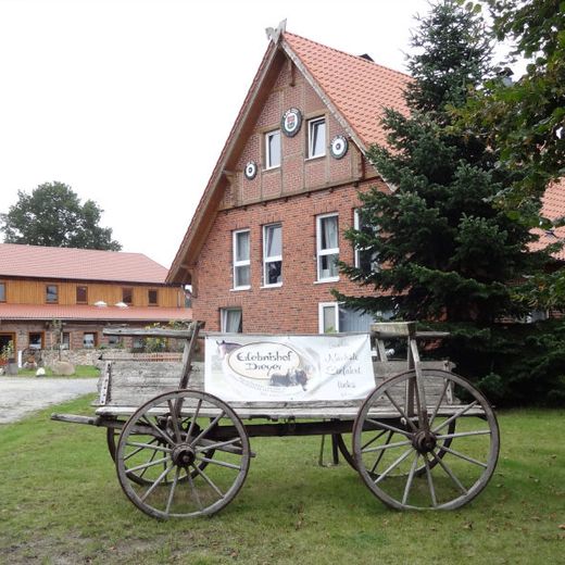 Erlebnishof Dreyer Aussenbereich